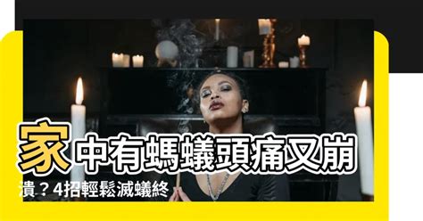 家中有螞蟻如何處理|【消滅螞蟻】家裡有螞蟻怎麼辦？6種天然方法驅逐螞。